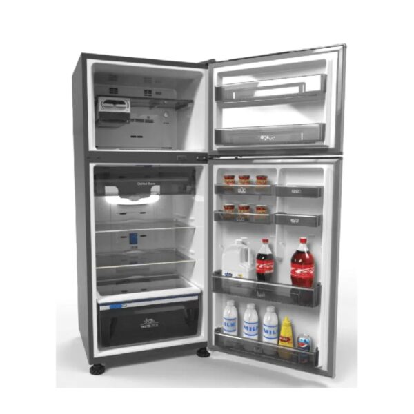 زانوسي1 600x600